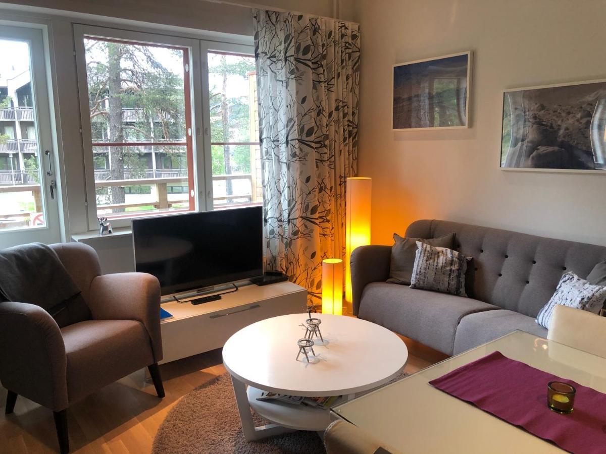 Castillo Kelotaehti Apartment ساريسيلكا المظهر الخارجي الصورة